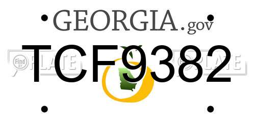 TCF9382 Georgia License Plate