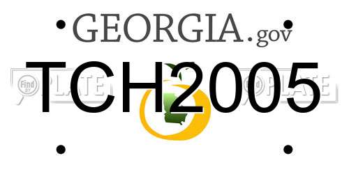 TCH2005 Georgia License Plate