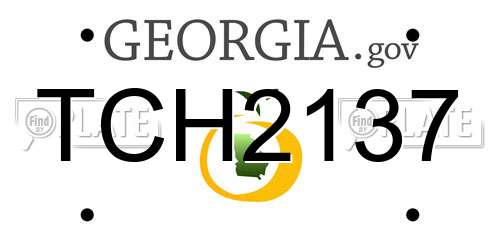 TCH2137 Georgia License Plate