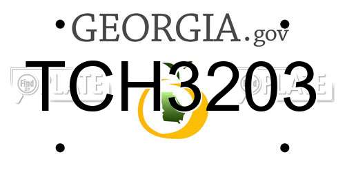 TCH3203 Georgia License Plate