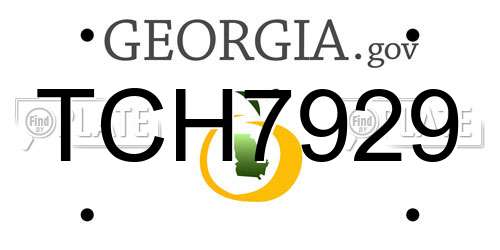 TCH7929 Georgia License Plate