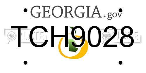 TCH9028 Georgia License Plate