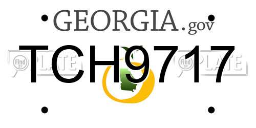 TCH9717 Georgia License Plate