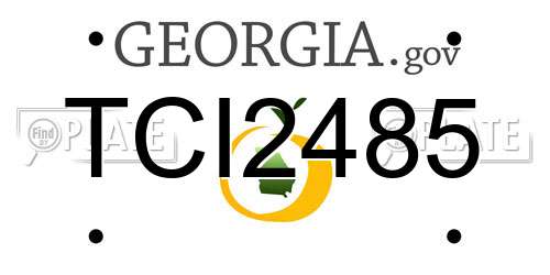 TCI2485 Georgia License Plate