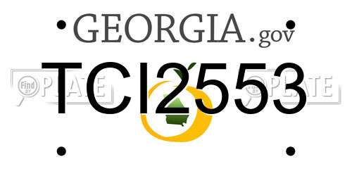TCI2553 Georgia License Plate