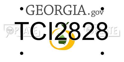 TCI2828 Georgia License Plate