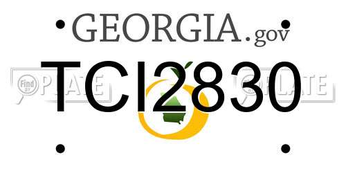 TCI2830 Georgia License Plate