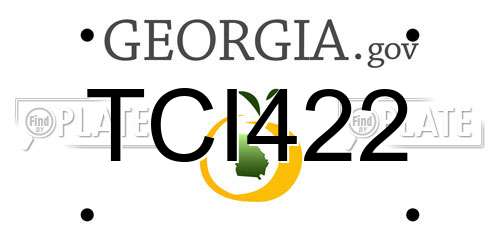TCI422 Georgia License Plate