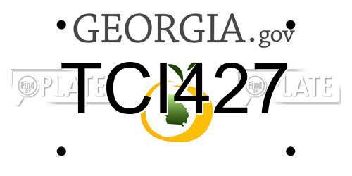 TCI427 Georgia License Plate