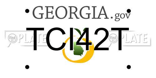 TCI42T Georgia License Plate