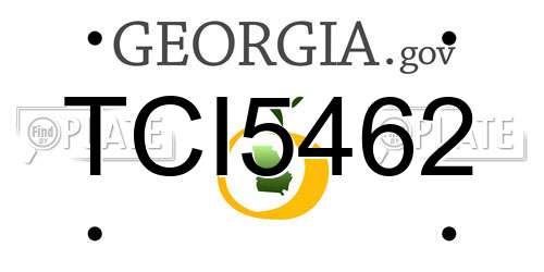 TCI5462 Georgia License Plate