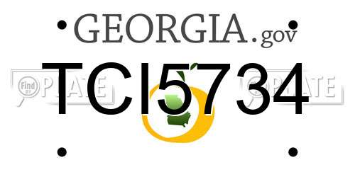TCI5734 Georgia License Plate