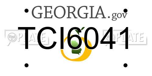 TCI6041 Georgia License Plate
