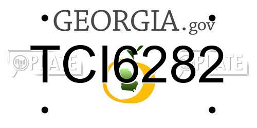 TCI6282 Georgia License Plate