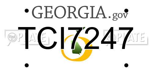 TCI7247 Georgia License Plate