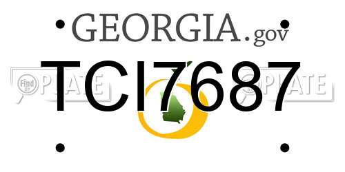 TCI7687 Georgia License Plate