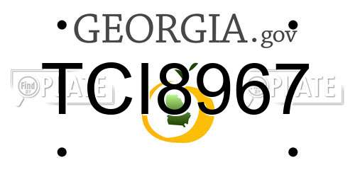 TCI8967 Georgia License Plate