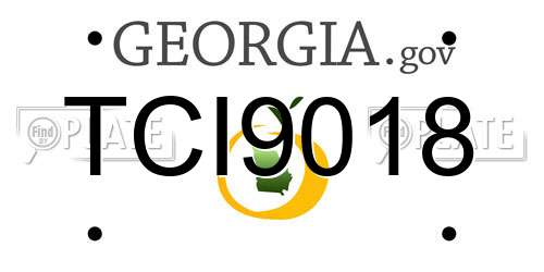 TCI9018 Georgia License Plate