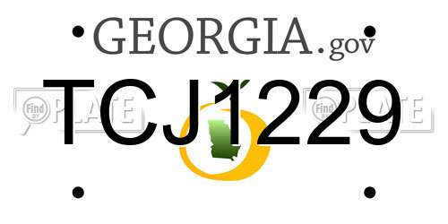 TCJ1229 Georgia License Plate