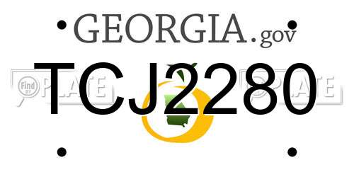 TCJ2280 Georgia License Plate