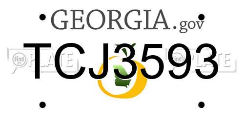 TCJ3593 Georgia License Plate