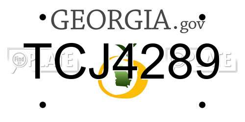 TCJ4289 Georgia License Plate