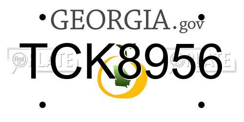 TCK8956 Georgia License Plate