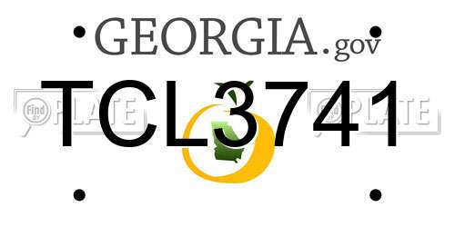 TCL3741 Georgia License Plate