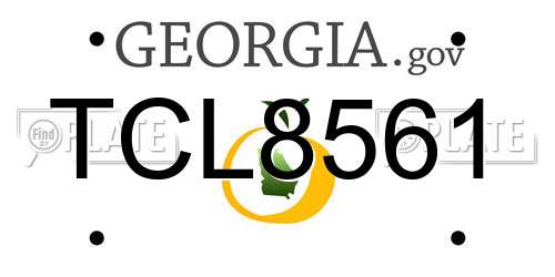TCL8561 Georgia License Plate