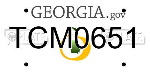 TCM0651 Georgia License Plate