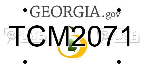 TCM2071 Georgia License Plate