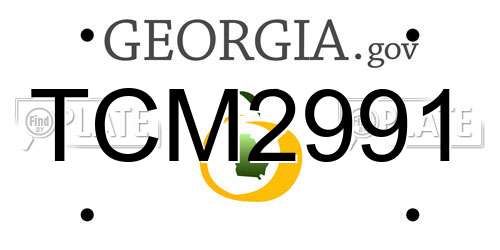 TCM2991 Georgia License Plate