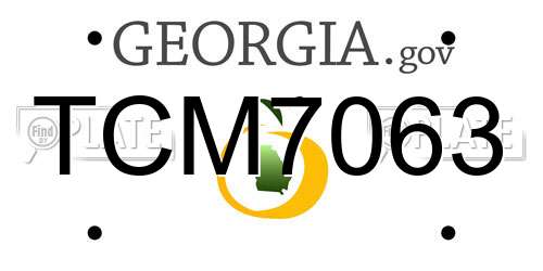 TCM7063 Georgia License Plate