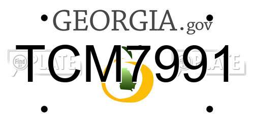 TCM7991 Georgia License Plate