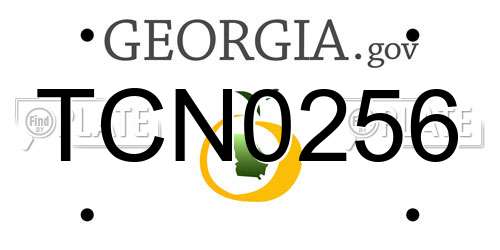 TCN0256 Georgia License Plate