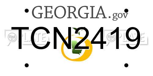 TCN2419 Georgia License Plate