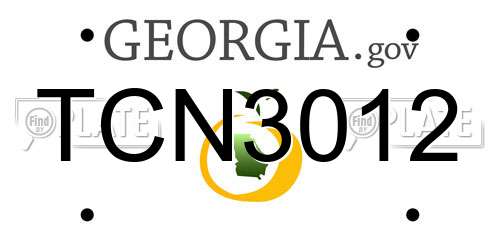 TCN3012 Georgia License Plate