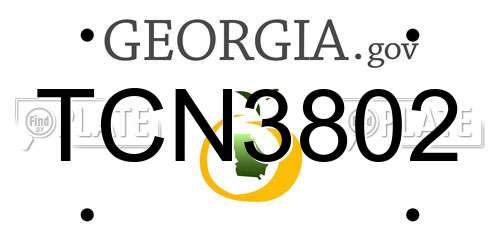 TCN3802 Georgia License Plate