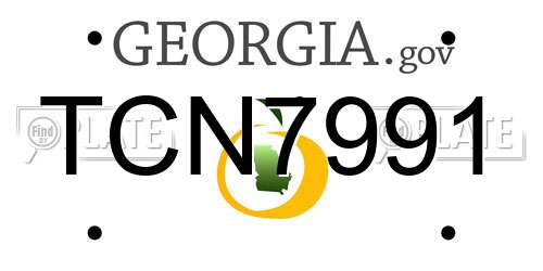 TCN7991 Georgia License Plate