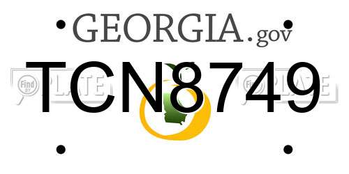 TCN8749 Georgia License Plate