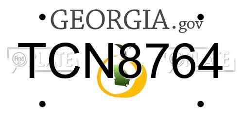 TCN8764 Georgia License Plate