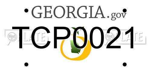 TCP0021 Georgia License Plate