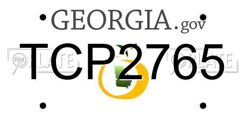 TCP2765 Georgia License Plate