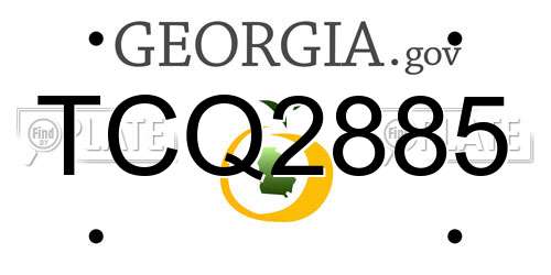 TCQ2885 Georgia License Plate