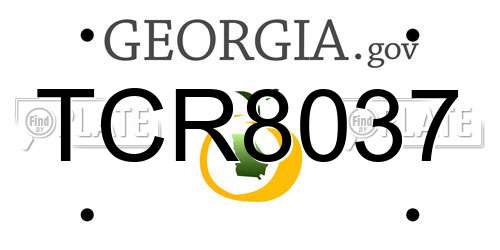 TCR8037 Georgia License Plate