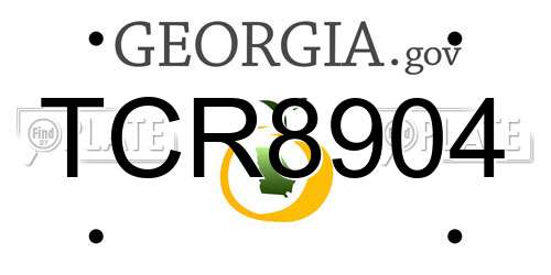 TCR8904 Georgia License Plate