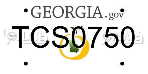 TCS0750 Georgia License Plate