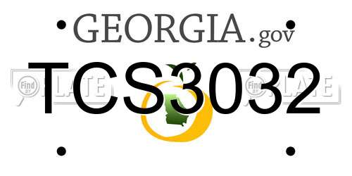 TCS3032 Georgia License Plate