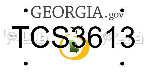 TCS3613 Georgia License Plate