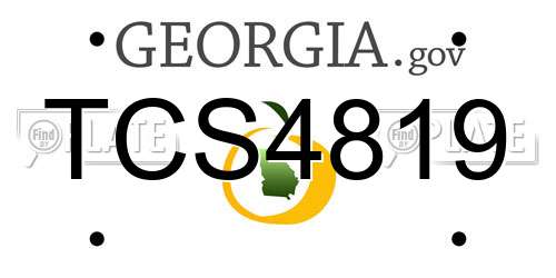 TCS4819 Georgia License Plate